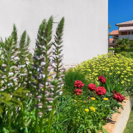 Muki-3 By Interhome 아파트 메덜린