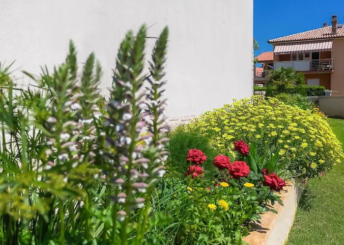 Muki-3 By Interhome 아파트 메덜린